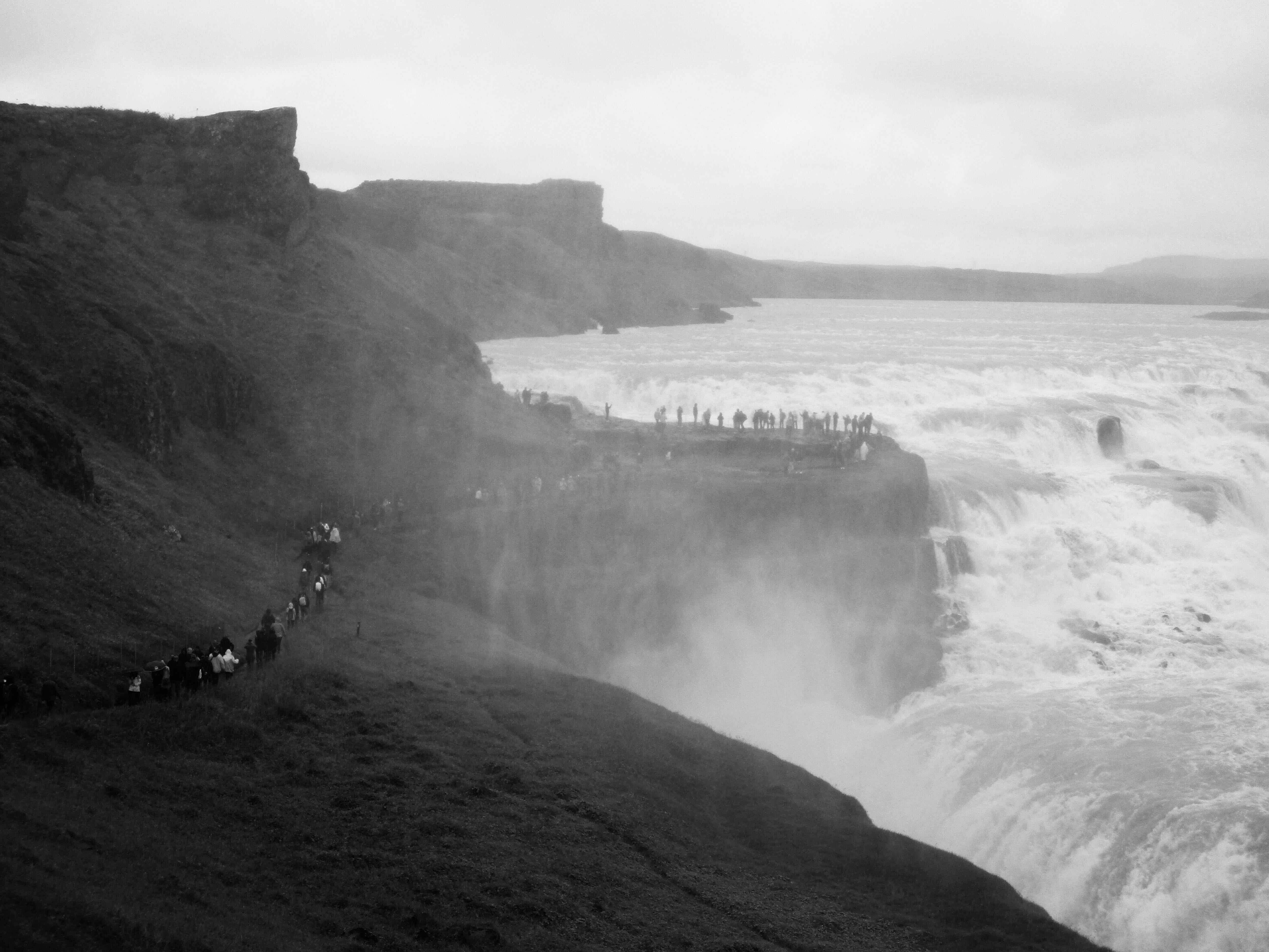 SEEDS 050. Photography & Fun in Reykjavík - Summer