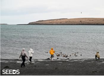 SEEDS 084. Environment & Photography - Airwaves